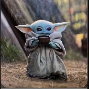 Meet your Posher, Ally